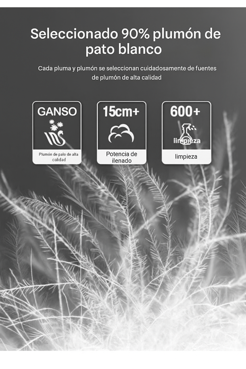 ARISTON | CHAQUETA HÍBRIDA PREMIUM